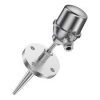 108732 RTD-Temperature-Sensor-Reckmann