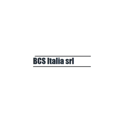 BCS-Italia-Srl-viet-nam