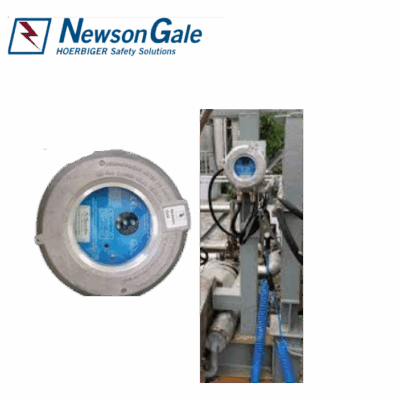 rtrme-bo-xa-cho-tram-xuat-newson-gale-viet-nam