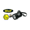 H-4DCALED Wolf safety Vietnam